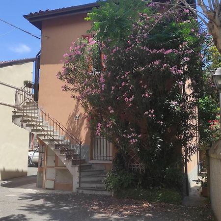 Borghetto 36 Leilighet Bologna Eksteriør bilde
